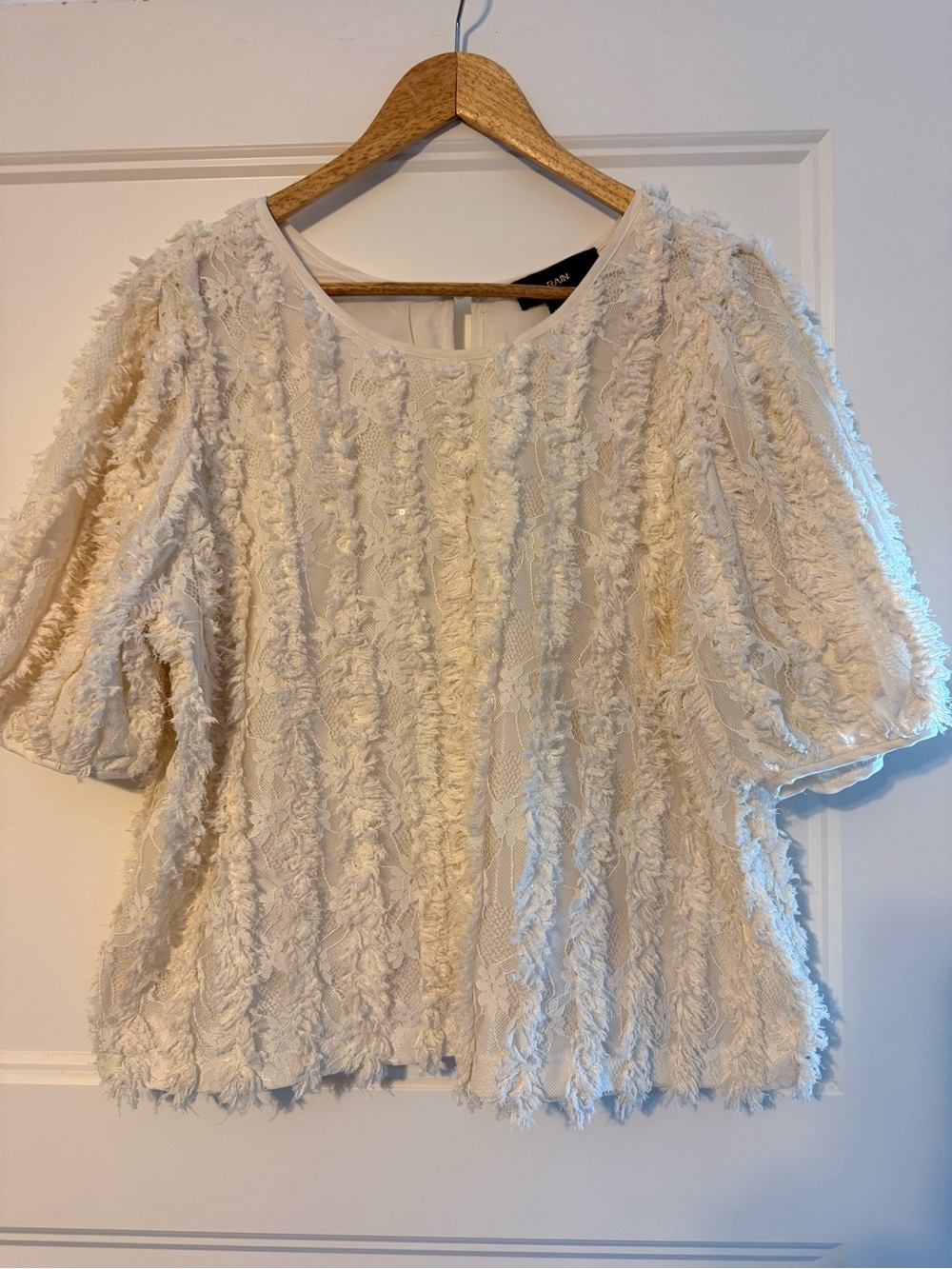 Rain Eyelash Fringe Lace Cream Short Sleeve Blouse Size XL